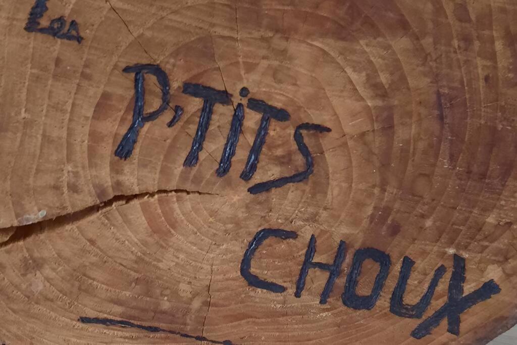 Gite Les Ptits Choux Saint-Quentin-Lamotte-Croix-au-Bailly Eksteriør billede